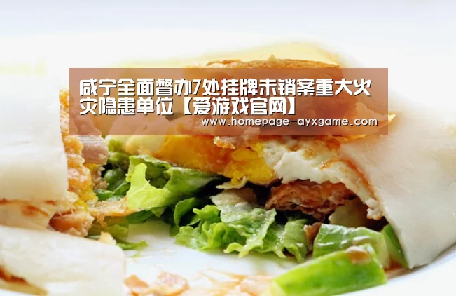 咸宁全面督办7处挂牌未销案重大火灾隐患单位【爱游戏官网】(图1) 爱游戏官网