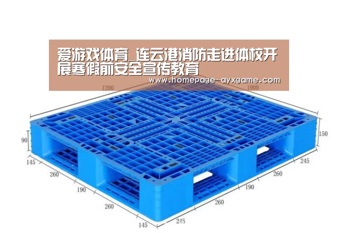 爱游戏体育_连云港消防走进体校开展寒假前安全宣传教育(图2) 爱游戏平台