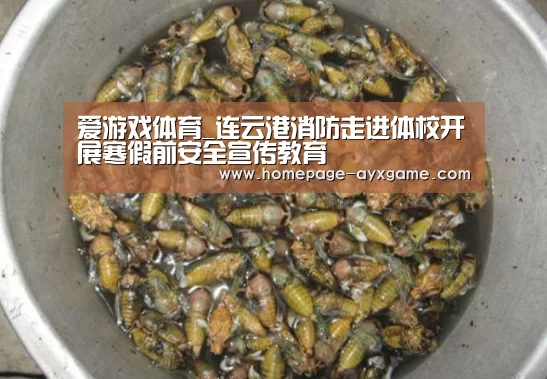 爱游戏体育_连云港消防走进体校开展寒假前安全宣传教育(图1) 爱游戏体育