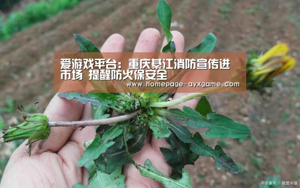 爱游戏平台:重庆綦江消防宣传进市场 提醒防火保安全(图1) 爱游戏下载