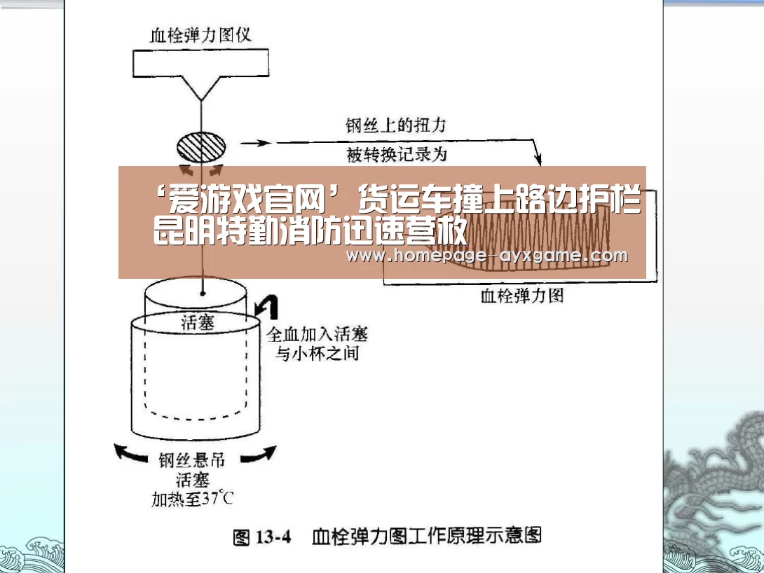 爱游戏体育