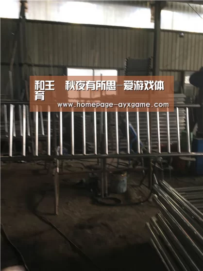 爱游戏官网