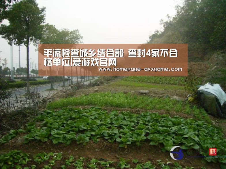 平凉检查城乡结合部 查封4家不合格单位|爱游戏官网(图3) 爱游戏下载