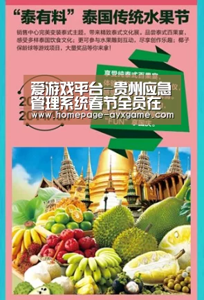 爱游戏平台-贵州应急管理系统春节全员在岗(图4) 爱游戏体育