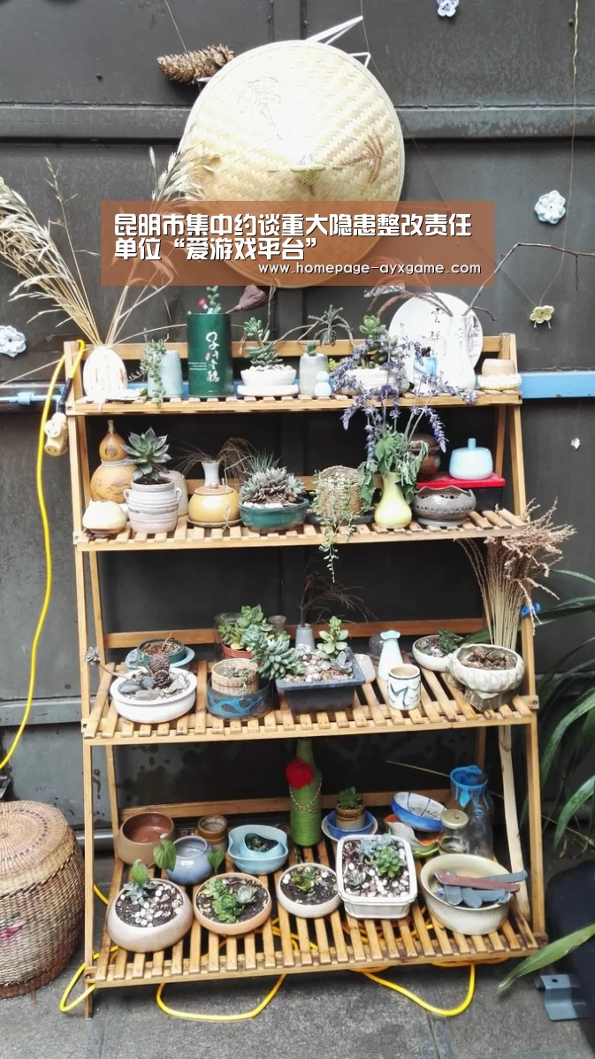 爱游戏体育