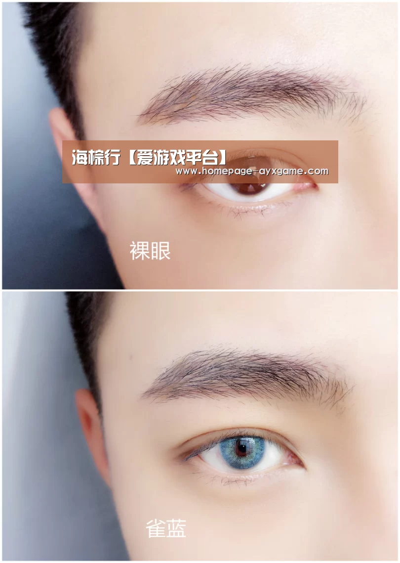 海棕行【爱游戏平台】(图3) 爱游戏官网
